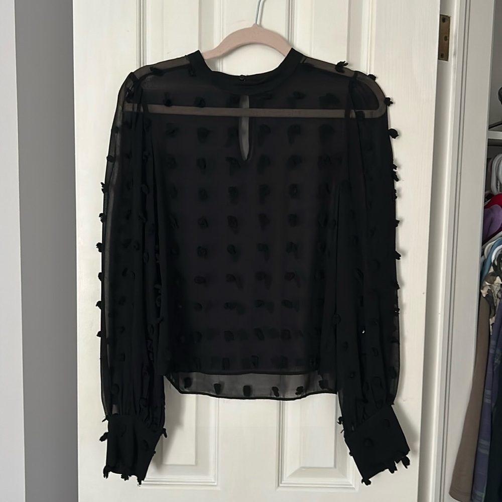 ZARA Blouse